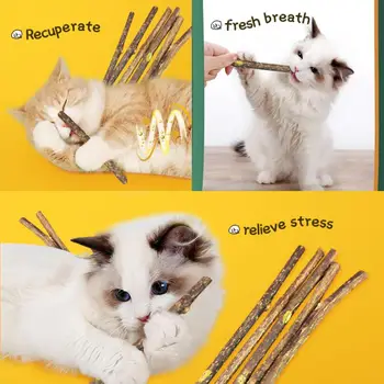 Palice/box Catnip Pet Mačka Molekulová Self-healing Žuť Produkt Prírodný prostriedok proti Nude zubná pasta na Čistenie Zubov Snack Dodávky